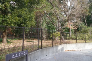 20231227-高安寺館攻め-030