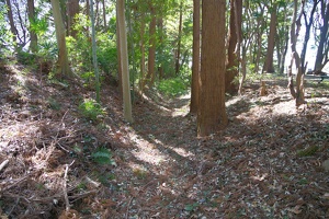 20240310-根戸城攻め-058